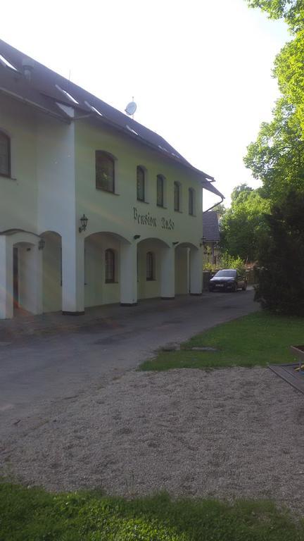 Pension.No30 Svijany Exterior photo